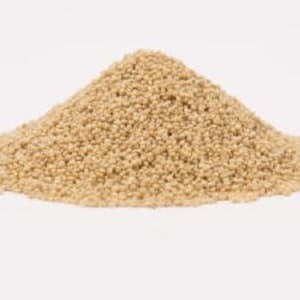 quinoa de Normandie